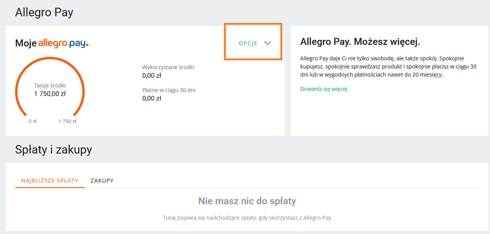 Allegro pay panel.png