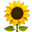ko_alka_0-1646132619881.png