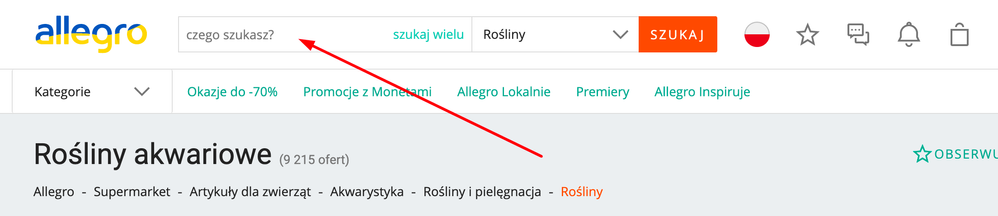ko_alka_0-1646405398816.png