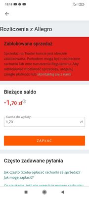 Screenshot_2022-07-14-13-18-26-319_pl.allegro.jpg