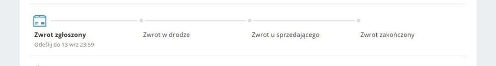 Przechwytywanie zawartości sieci Web_7-9-2022_8450_allegro.pl.jpeg