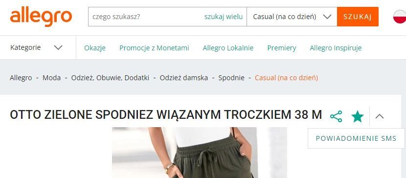 Przechwytywanie zawartości sieci Web_27-9-2022_132145_allegro.pl.jpeg