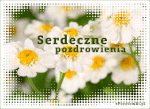 ekartka-wyraz-uczucia-serdeczne-pozdrowienia-2399.gif