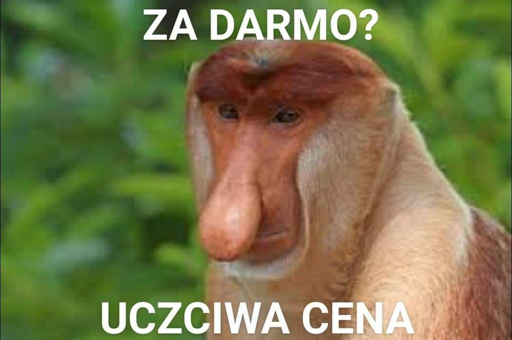 comment_FZNz7rueiJDwwz520VgCwdDIpTlvAJ5t.jpg