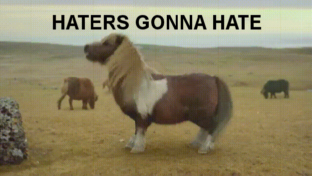 haters.gif