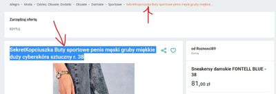 Zrzut ekranu 2023-06-01 160308.jpg
