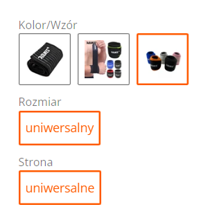 mplaptonik_1-1703516768557.png