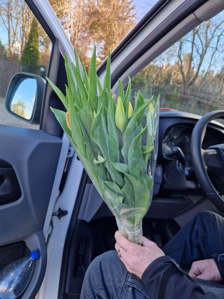 PocztaKwiatowaInpost.jpg PocztaKwiatowaInpost.jpg