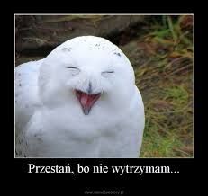 pobrany plik (4).jpg