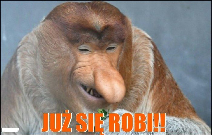 juz-sie-robi_2020-02-06_13-16-36.jpg