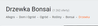 w_kiwi_0-1719567811376.png