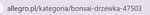 w_kiwi_1-1719567830023.png