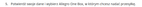 w_kiwi_0-1733988121182.png