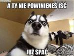 35d577d327f0012fb9ac93071a81a6b41439.jpg
