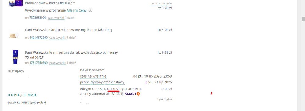 Bez tytułu.png