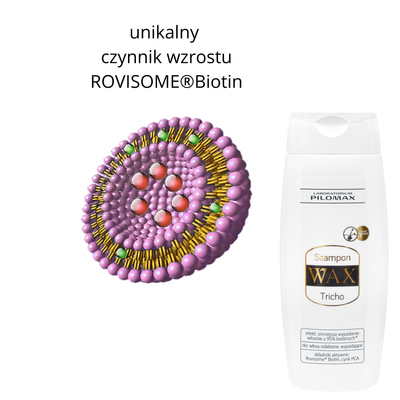 PILOMAX_0-1755166722412.png