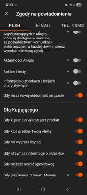 Screenshot_20250911_171511_Allegro.jpg