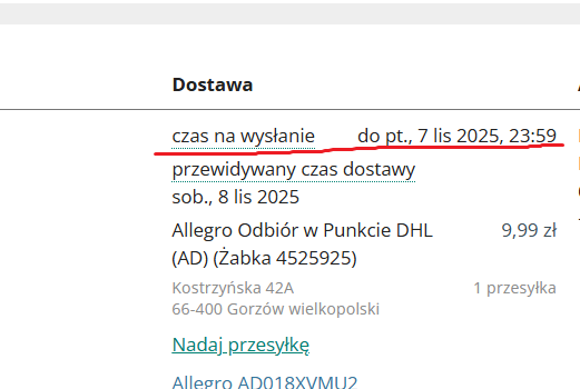 Zrzut ekranu 2025-11-10 081133.png