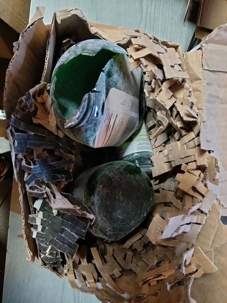 IMG20251212124919 (1).jpg