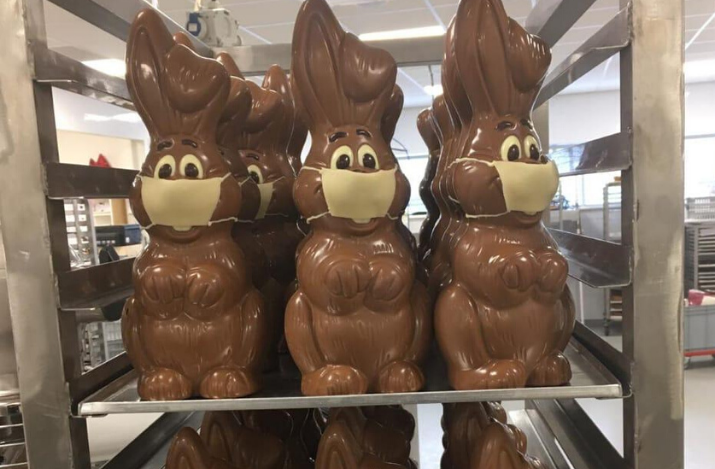 bunny.png