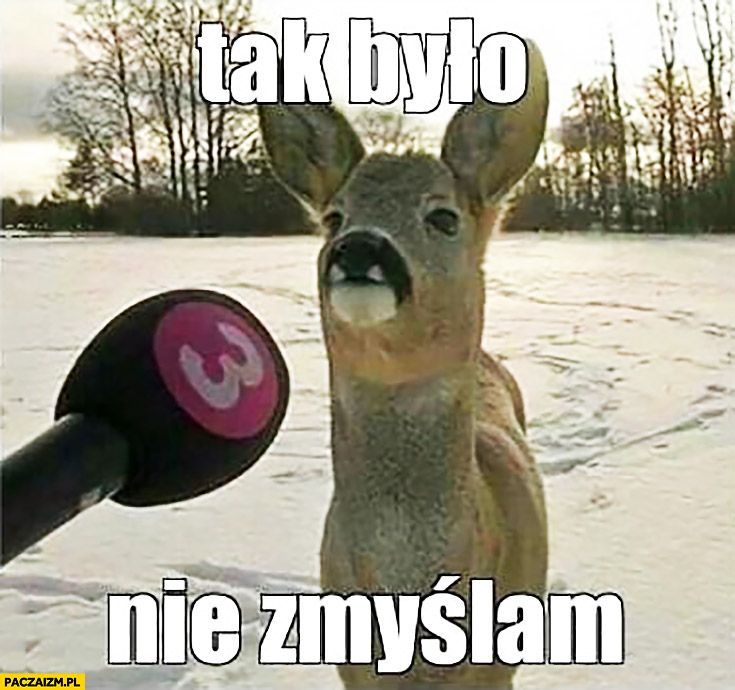 tak-bylo-nie-zmyslam-sarna-daje-wywiad-mikrofon.jpg